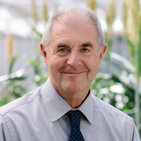 David Craik 